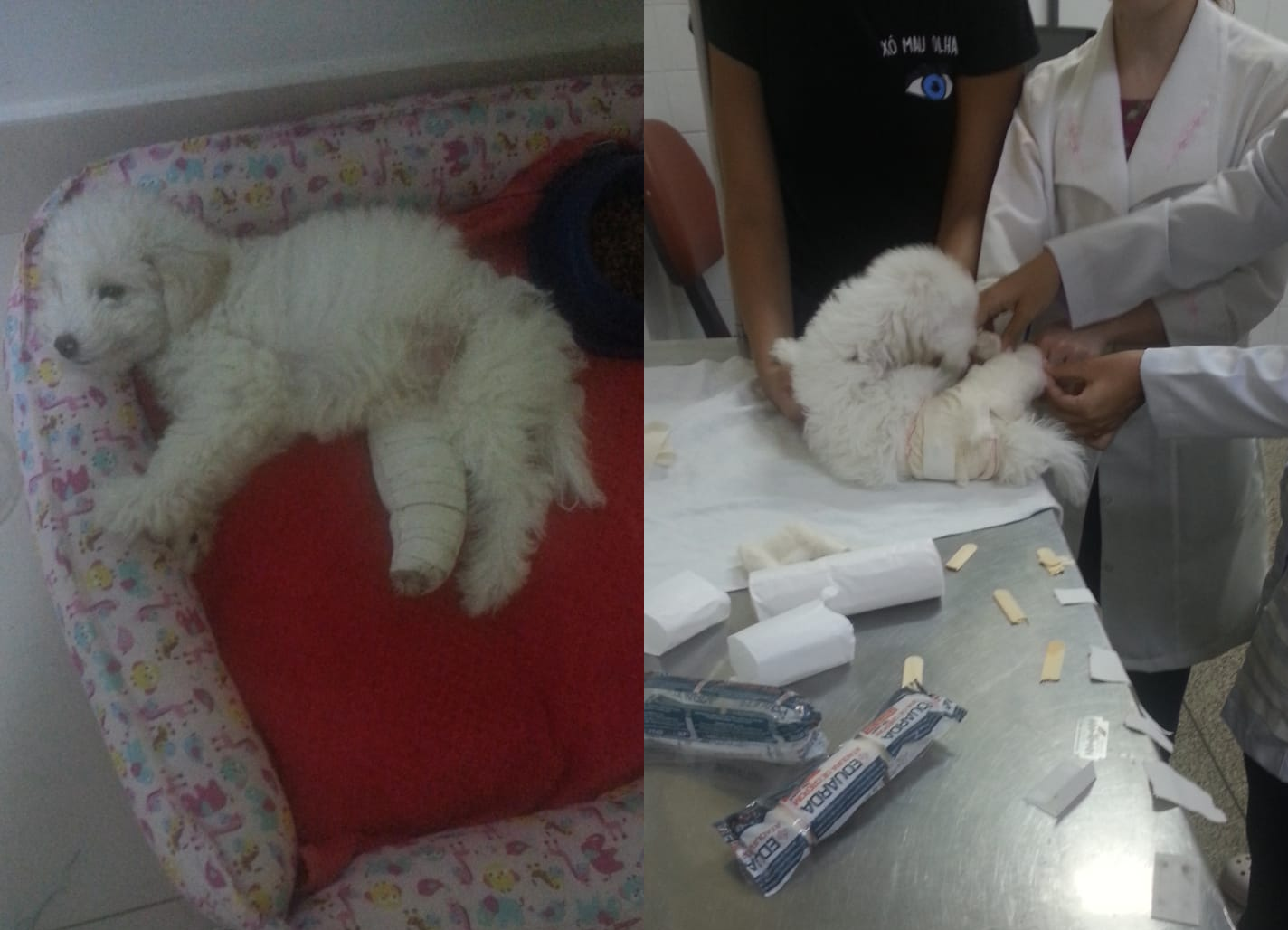 Bruce terá que passar por uma cirurgia na perna